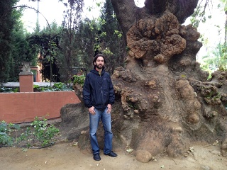 Sevilla (Andalucía)