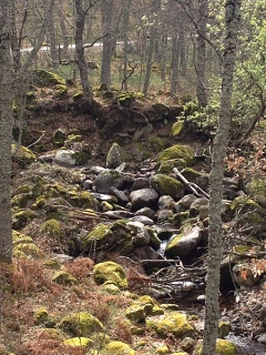 Hervás (Extremadura)