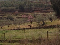 Caminomorisco (Extremadura)