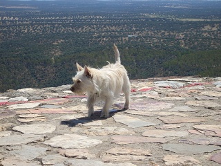 Monfragüe National Park
