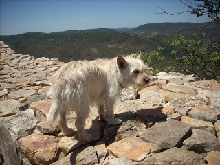 Monfragüe National Park
