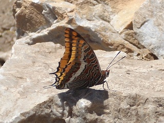 Monfragüe National Park