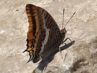 Monfragüe National Park
